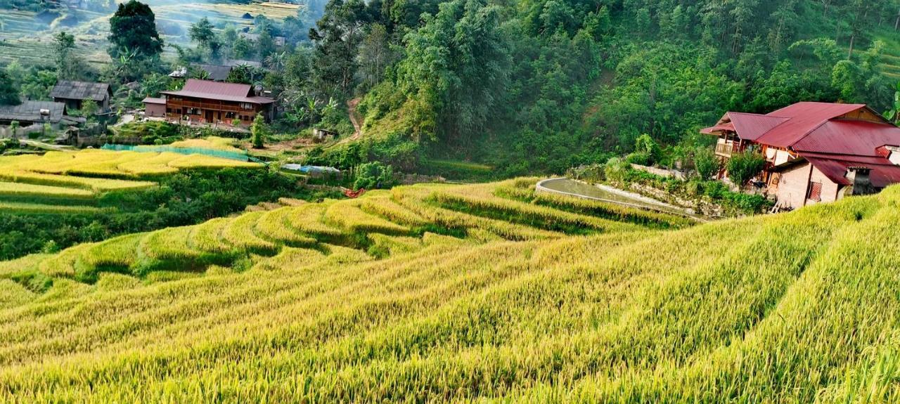 Madame View Homestay ซาปา ภายนอก รูปภาพ